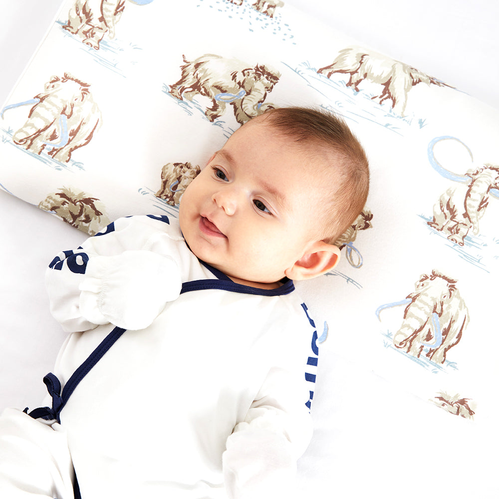 Hypoallergenic Toddler Ridge Protection Pillow